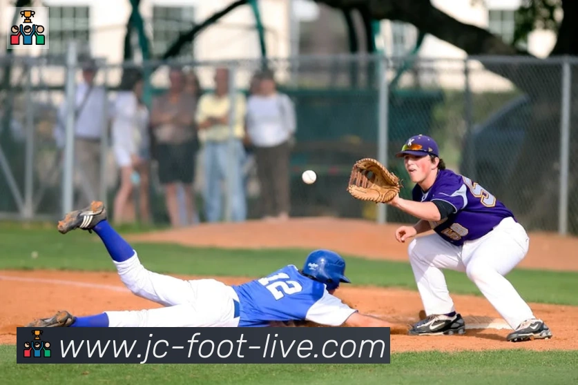竞彩网首页平台生态图